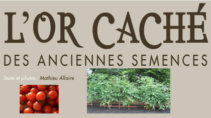 À la recherche de la vraie raquette